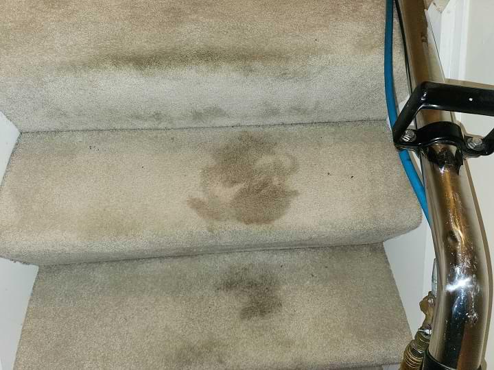 Carpet cleaning stairs on Sasco Hill Rd, Fairfield, CT