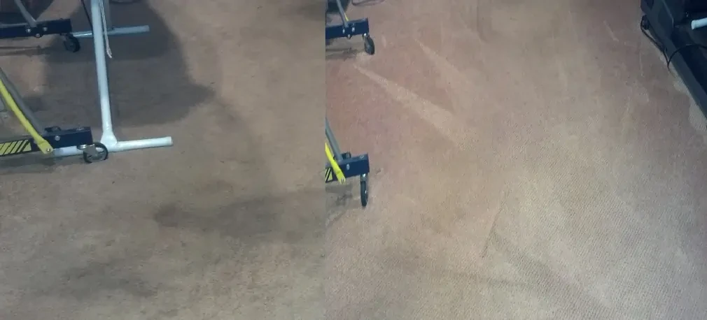  Side by side comparison of carpet cleaning in the Greenfield Hill section of Fairfield, Connecticut