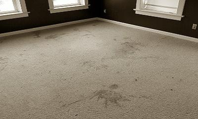 Carpet Cleaning in Greenwich, CT - Before Picture