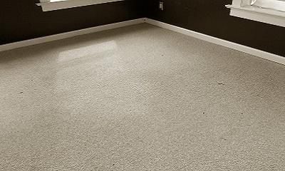 Carpet Cleaning in Greenwich - After Picture