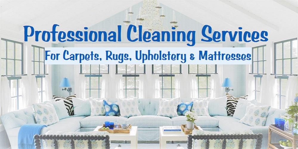 DMS Specialized Carpet & Upholstery Cleaning