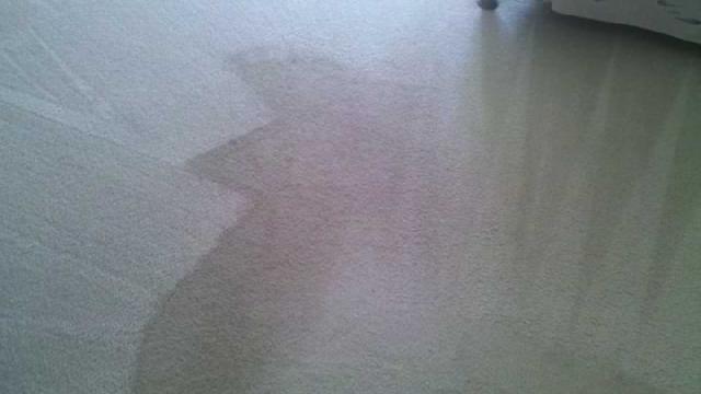 Carpet Cleaning Stamford, CT.