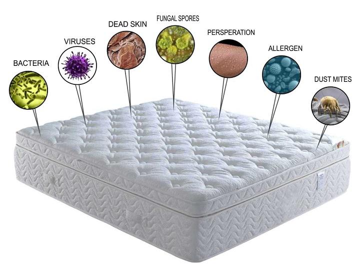 Mattress Cleaning Westport Home
