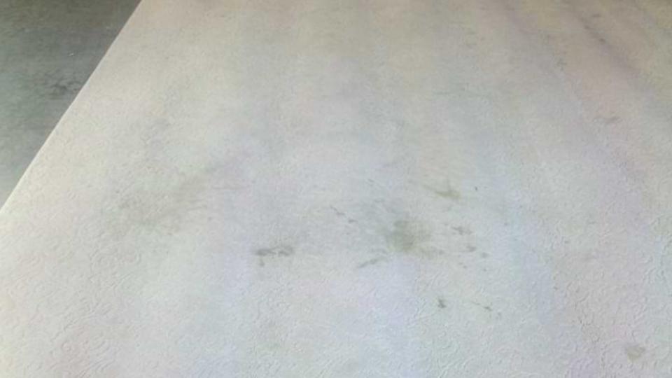 carpet cleaning Leroy Ave, Darien, CT - Before Picture